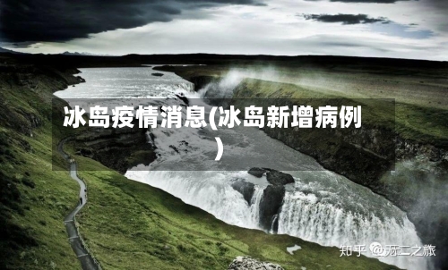 冰岛疫情消息(冰岛新增病例)-第3张图片