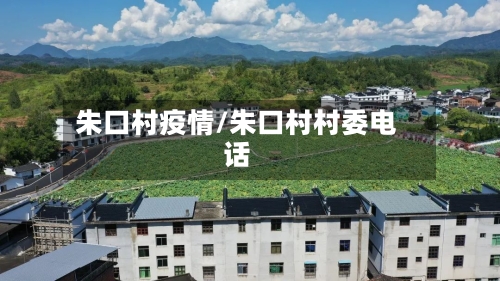 朱口村疫情/朱口村村委电话-第2张图片