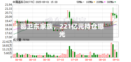 葛卫东家族，221亿元持仓曝光-第2张图片