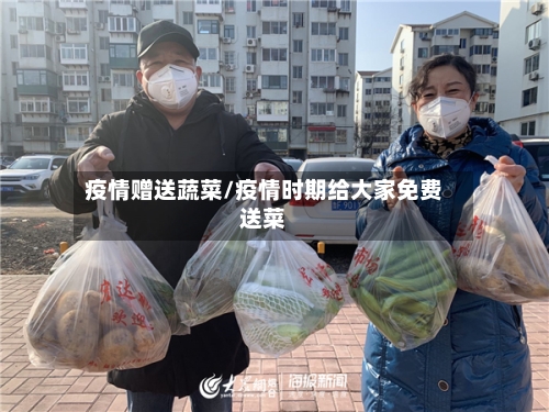 疫情赠送蔬菜/疫情时期给大家免费送菜
