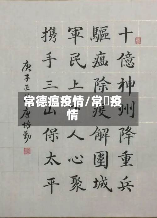 常德瘟疫情/常徳疫情