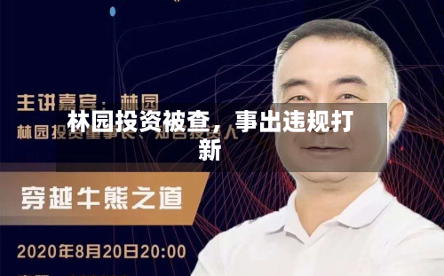 林园投资被查	，事出违规打新-第2张图片