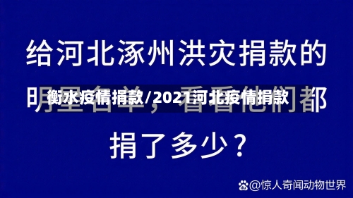 衡水疫情捐款/2021河北疫情捐款