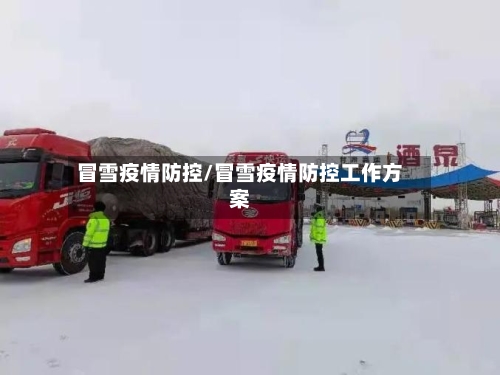 冒雪疫情防控/冒雪疫情防控工作方案-第2张图片