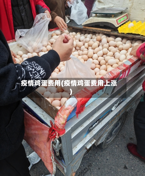 疫情鸡蛋费用(疫情鸡蛋费用上涨)
