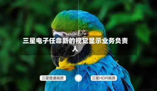 三星电子任命新的视觉显示业务负责人