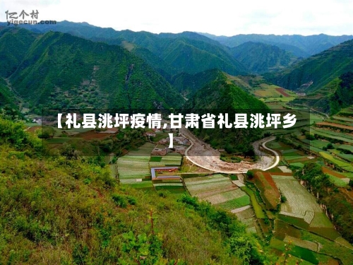 【礼县洮坪疫情,甘肃省礼县洮坪乡】-第2张图片
