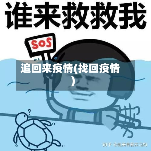 追回来疫情(找回疫情)