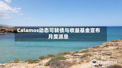 Calamos动态可转债与收益基金宣布月度派息-第2张图片