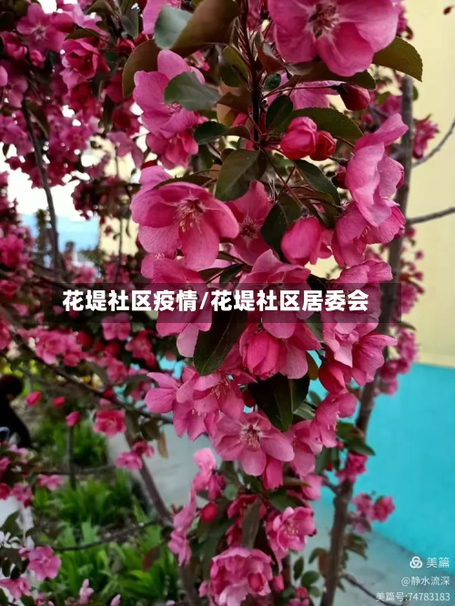 花堤社区疫情/花堤社区居委会-第2张图片