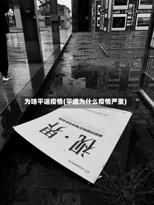 为啥平遥疫情(平遥为什么疫情严重)-第2张图片