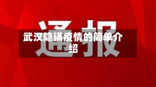 武汉隐瞒疫情的简单介绍-第2张图片