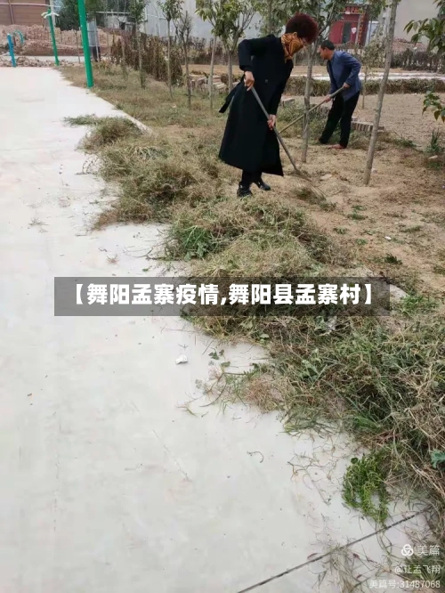 【舞阳孟寨疫情,舞阳县孟寨村】-第2张图片