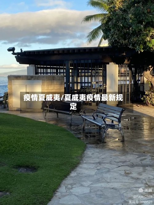 疫情夏威夷/夏威夷疫情最新规定-第2张图片