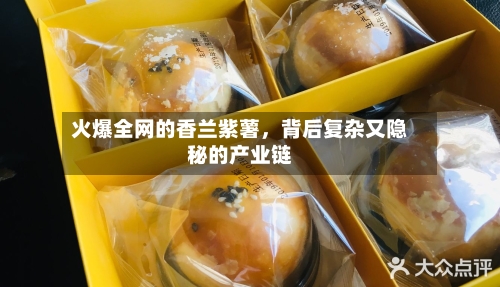 火爆全网的香兰紫薯，背后复杂又隐秘的产业链