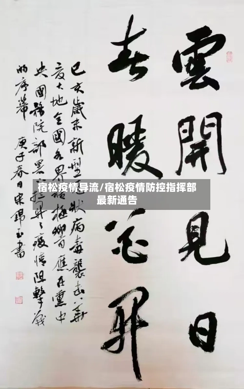 宿松疫情导流/宿松疫情防控指挥部最新通告