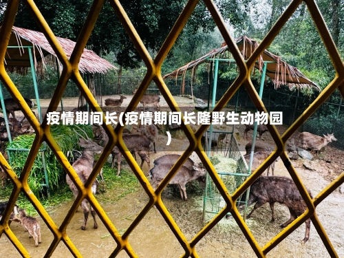 疫情期间长(疫情期间长隆野生动物园)