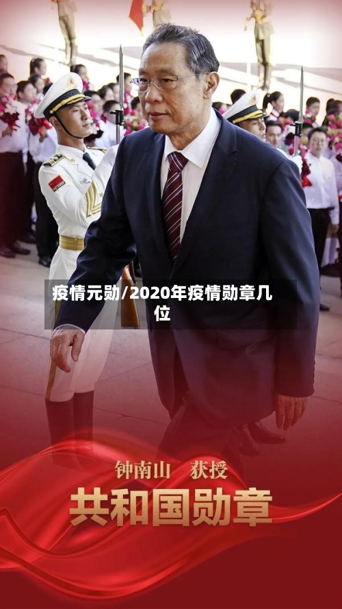 疫情元勋/2020年疫情勋章几位