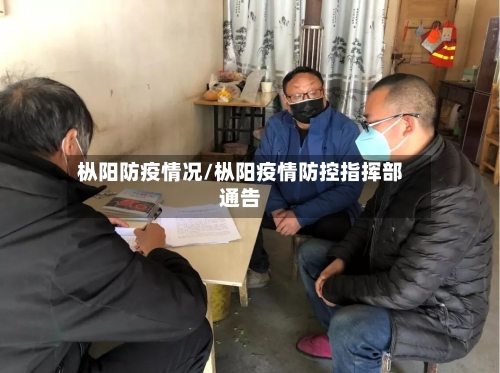 枞阳防疫情况/枞阳疫情防控指挥部通告-第2张图片