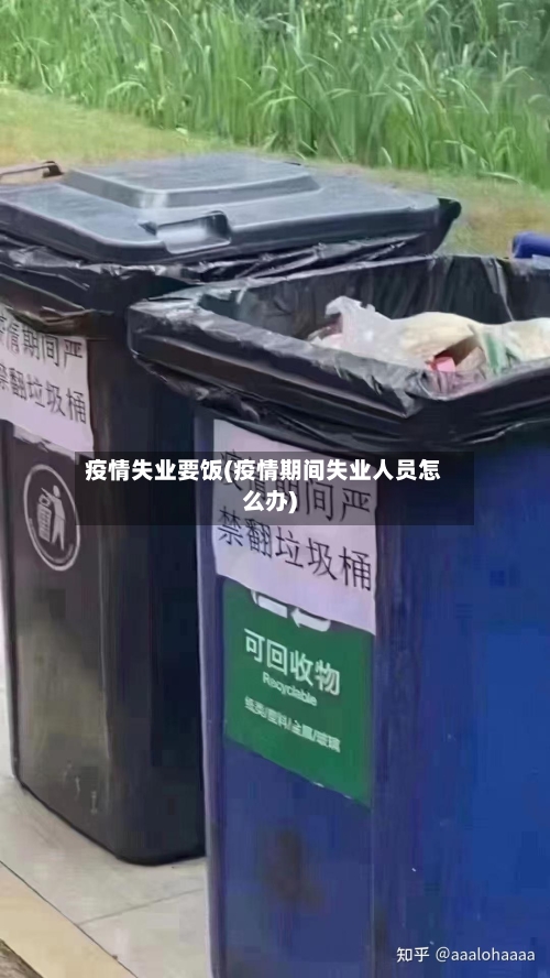 疫情失业要饭(疫情期间失业人员怎么办)