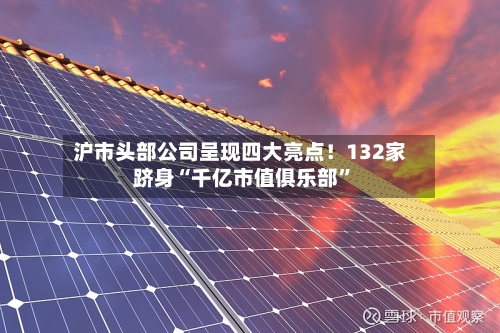 沪市头部公司呈现四大亮点！132家跻身“千亿市值俱乐部	”-第3张图片