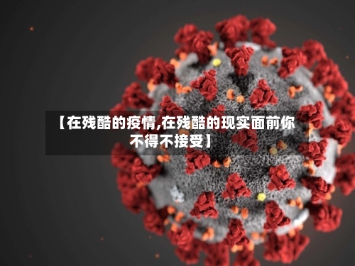 【在残酷的疫情,在残酷的现实面前你不得不接受】-第2张图片