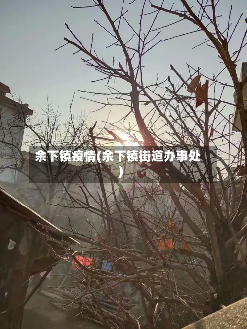 余下镇疫情(余下镇街道办事处)