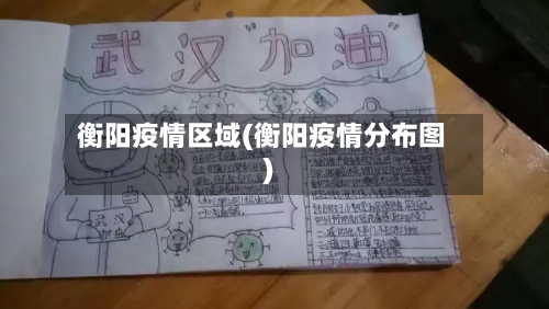 衡阳疫情区域(衡阳疫情分布图)-第2张图片