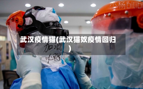武汉疫情猫(武汉猫奴疫情回归)-第2张图片