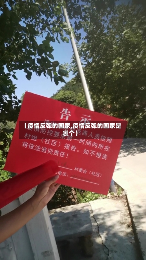 【疫情反弹的国家,疫情反弹的国家是哪个】-第2张图片