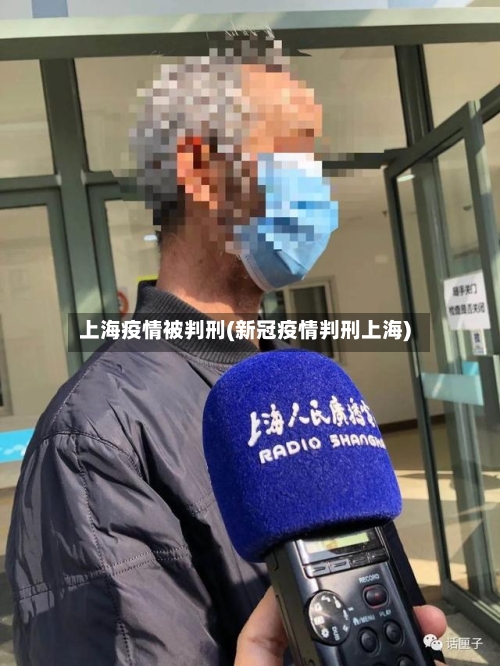 上海疫情被判刑(新冠疫情判刑上海)-第2张图片