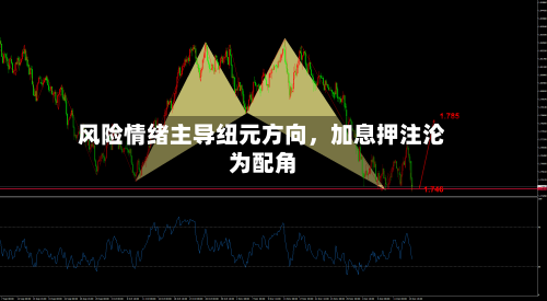 风险情绪主导纽元方向	，加息押注沦为配角-第2张图片