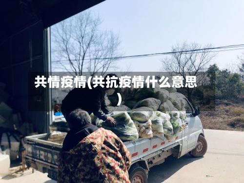 共情疫情(共抗疫情什么意思)