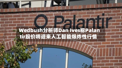 Wedbush分析师Dan Ives称Palantir股价将迎来人工智能爆炸性行情-第2张图片