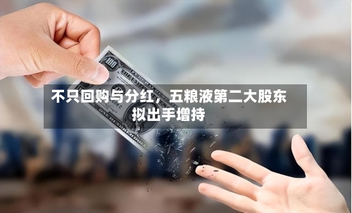 不只回购与分红，五粮液第二大股东拟出手增持-第3张图片