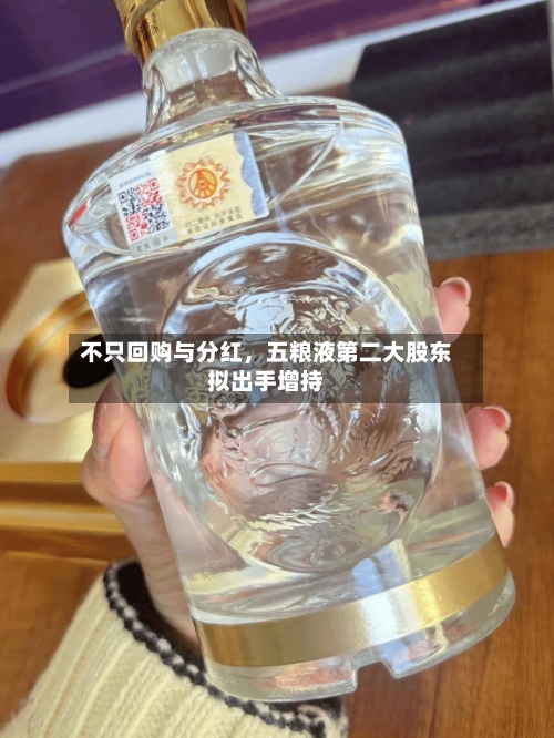 不只回购与分红，五粮液第二大股东拟出手增持-第2张图片
