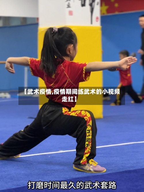 【武术疫情,疫情期间练武术的小视频走红】-第2张图片