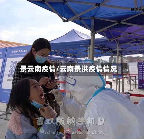景云南疫情/云南景洪疫情情况-第2张图片